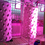 Soilless Vertical Barrel / 3D-NFT