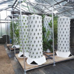 Soilless Vertical Barrel / 3D-NFT