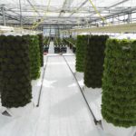 Soilless Vertical Barrel / 3D-NFT