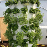 Soilless Vertical Barrel / 3D-NFT