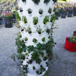 Soilless Vertical Barrel / 3D-NFT