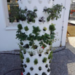 Soilless Vertical Barrel / 3D-NFT