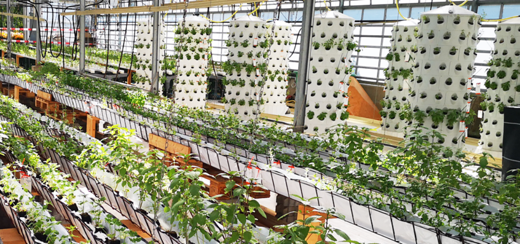 Aponix at Urban Gardening Event in Research Facility