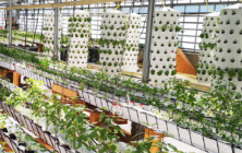 Aponix at Urban Gardening Event in Research Facility