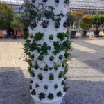 Aponix at Urban Gardening Event in Research Facility