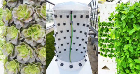 Aponix Newsletter 2019-09 – City XL Version, One-Netpot Piece, Netafim Irrigation Adapter