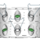 6 grow space configuration with covers and optional trellises.