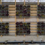 aponix living Wall System / usable as Wall-NFT or with substrate